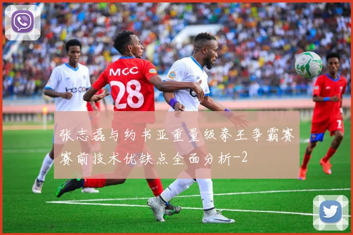 张志磊与约书亚重量级拳王争霸赛赛前技术优缺点全面分析