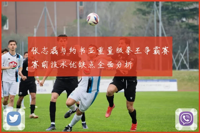 张志磊与约书亚重量级拳王争霸赛赛前技术优缺点全面分析