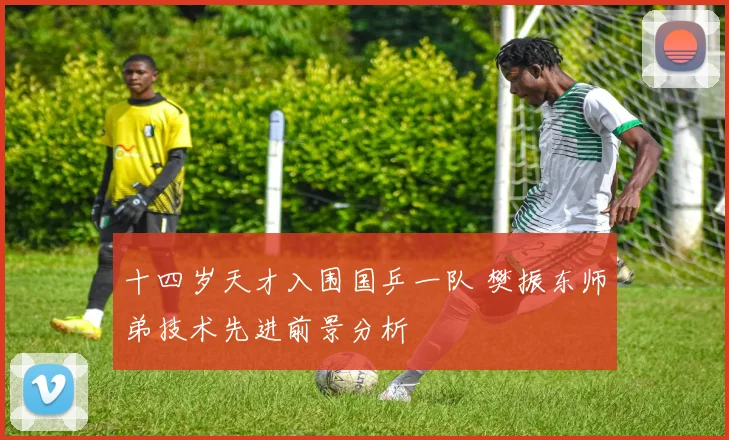 十四岁天才入围国乒一队 樊振东师弟技术先进前景分析