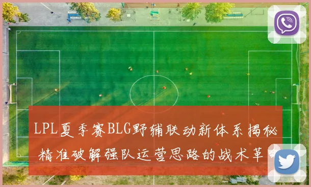 LPL夏季赛BLG野辅联动新体系揭秘 精准破解强队运营思路的战术革命