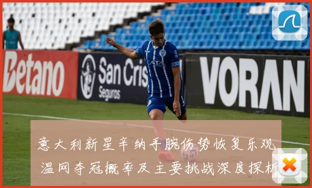 意大利新星辛纳手腕伤势恢复乐观 温网夺冠概率及主要挑战深度探析